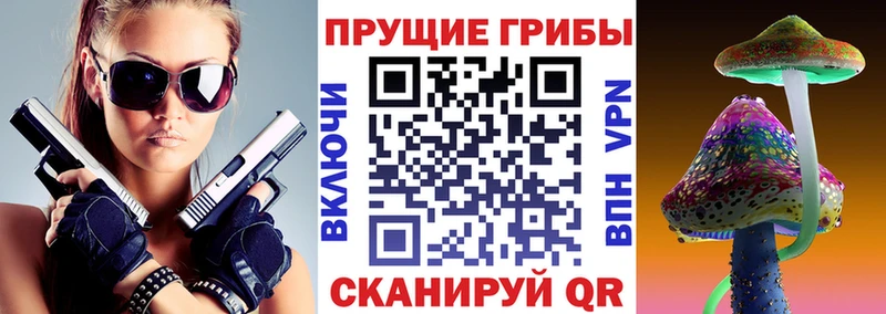 Псилоцибиновые грибы MAGIC MUSHROOMS  где купить наркоту  Нерехта 